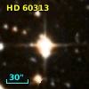 HD  60313