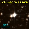 Cl* NGC 2451    PKB    2864