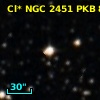 Cl* NGC 2451    PKB     867