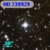 HD 239929