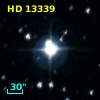 HD  13339