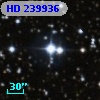HD 239936