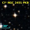 Cl* NGC 2451    PKB     161