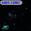 LEDA   21902