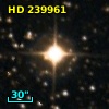 HD 239961