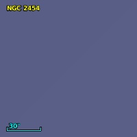 NGC  2454