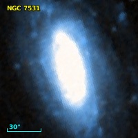 NGC  7531