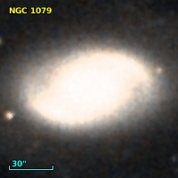 NGC  1079