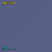 NGC  7559
