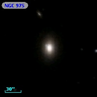 NGC   975