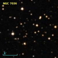 NGC  7036