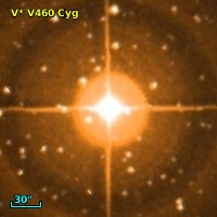 V* V460 Cyg
