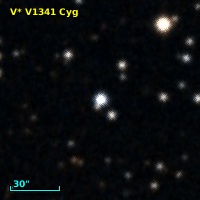 V* V1341 Cyg