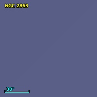 NGC  2863