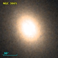 NGC  3665