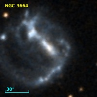 NGC  3664