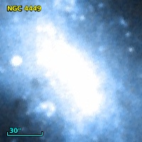 NGC  4449