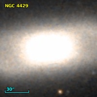 NGC  4429