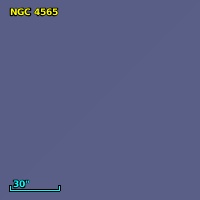 NGC  4565