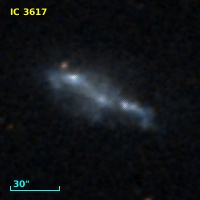 IC 3617