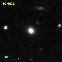 IC 4021