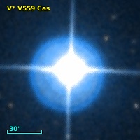 V* V559 Cas