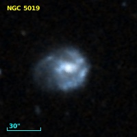 NGC  5019