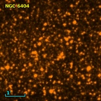 NGC  6404