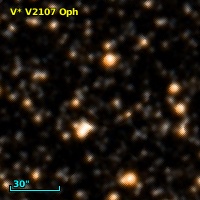 V* V2107 Oph