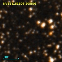 NVSS J181106-205503