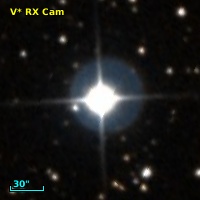 V* RX Cam