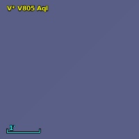 V* V805 Aql