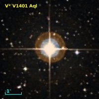 V* V1401 Aql
