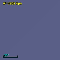 V* V508 Oph