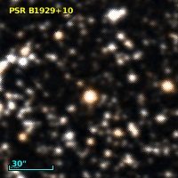 PSR B1929+10