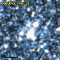 OGLE-CL LMC 116