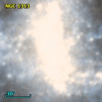 NGC  1313
