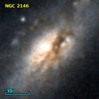 NGC  2146