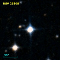 NSV 25308