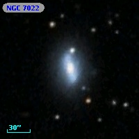NGC  7022