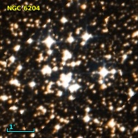 NGC  6204