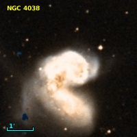 NGC  4038