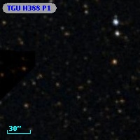 TGU H388 P1