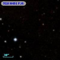 TGU H491 P38