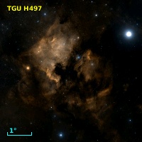 TGU H497
