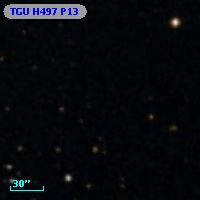 TGU H497 P13