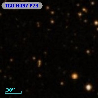 TGU H497 P23