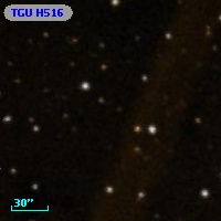 TGU H516
