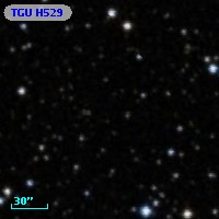 TGU H529