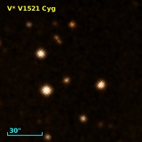 V* V1521 Cyg